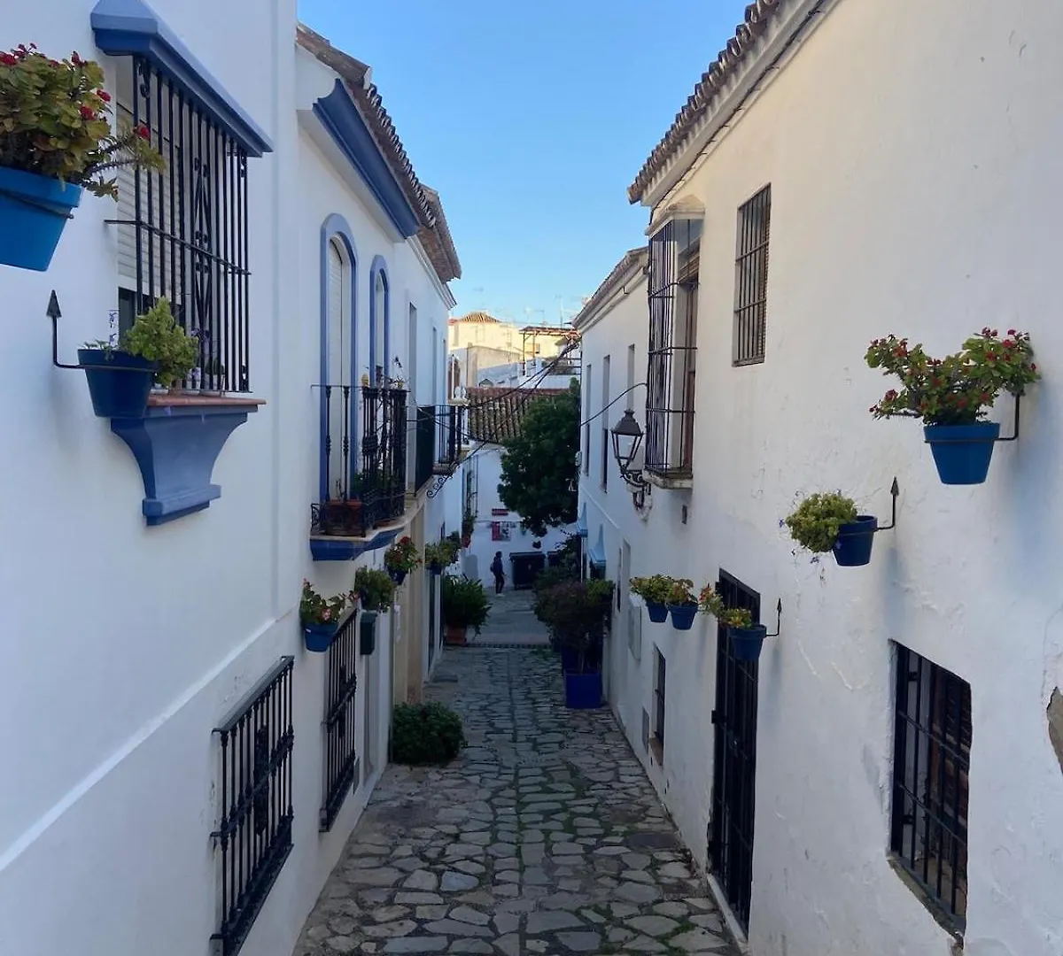 Apartamento Con Vistas Al Mar , Golf Y Vinedos Manilva 0*,  Spain